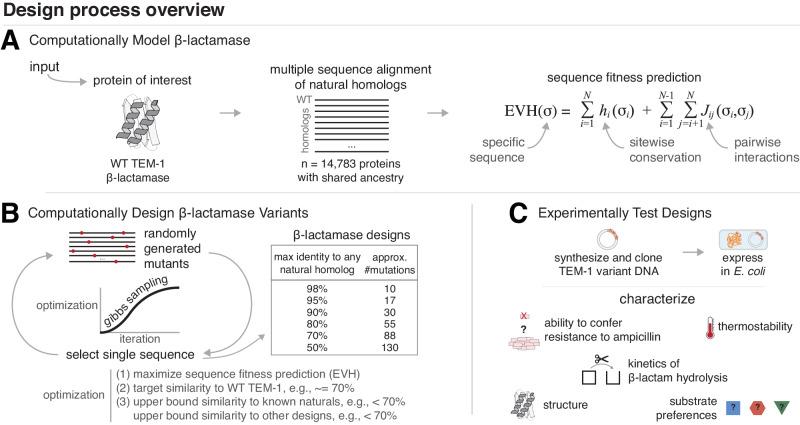 https://cdn.ncbi.nlm.nih.gov/pmc/blobs/c925/11190266/1af755434a76/41467_2024_49119_Fig1_HTML.jpg