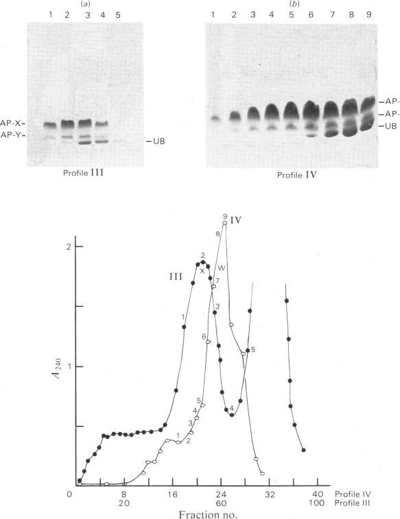 https://cdn.ncbi.nlm.nih.gov/pmc/blobs/c925/1153892/65f47de3b878/biochemj00364-0157-a.jpg