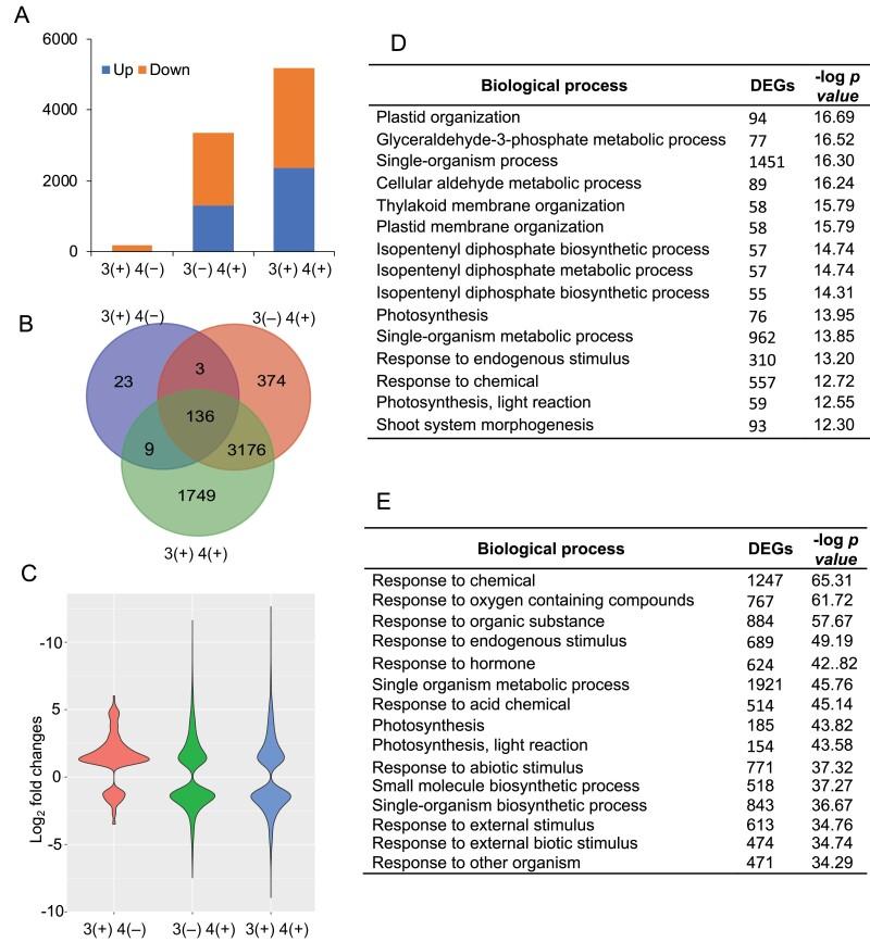 https://cdn.ncbi.nlm.nih.gov/pmc/blobs/c928/8096606/019702031d89/erab083f0007.jpg