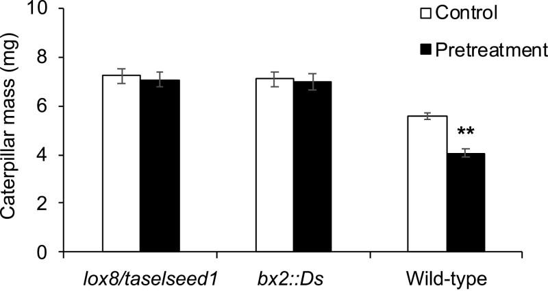 https://cdn.ncbi.nlm.nih.gov/pmc/blobs/c928/8096606/503f04c5d25b/erab083f0006.jpg