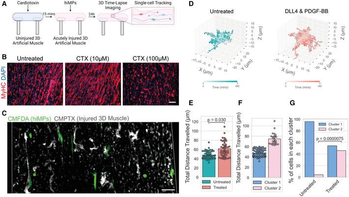 https://cdn.ncbi.nlm.nih.gov/pmc/blobs/c928/9549733/5d9c7a615fc2/EMMM-14-e14526-g010.jpg
