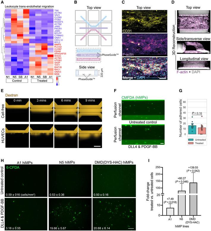https://cdn.ncbi.nlm.nih.gov/pmc/blobs/c928/9549733/5fd32e6bc164/EMMM-14-e14526-g008.jpg