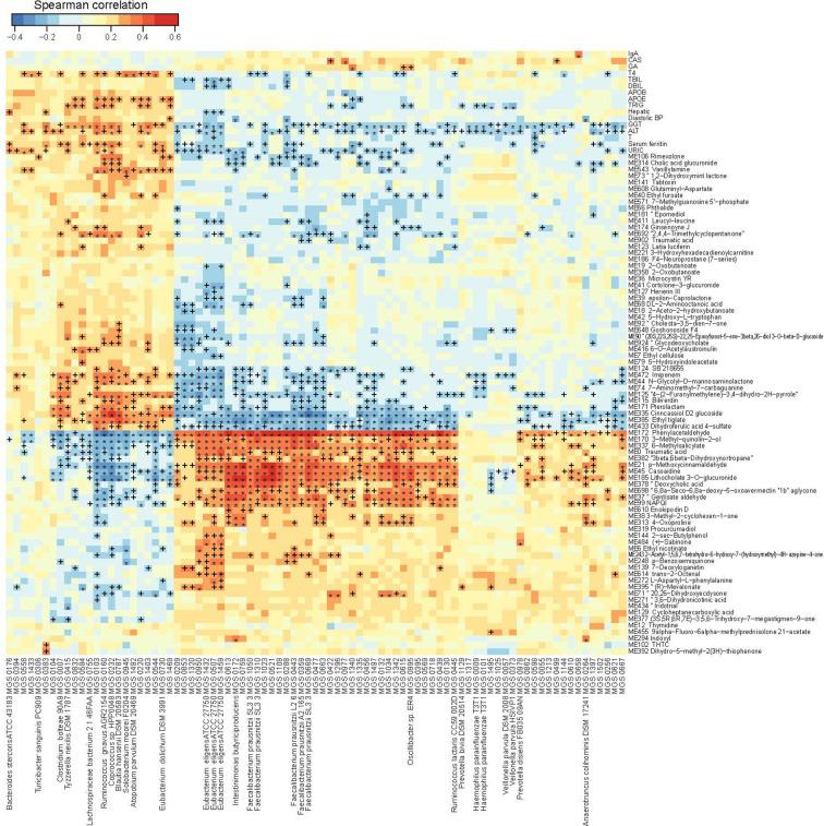 https://cdn.ncbi.nlm.nih.gov/pmc/blobs/c929/8529068/6c55a956f33d/fcimb-11-708088-g004.jpg