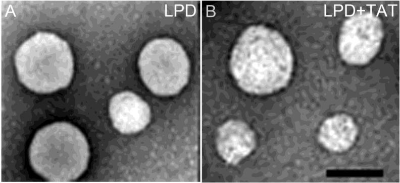 https://cdn.ncbi.nlm.nih.gov/pmc/blobs/c92c/4955052/7ab6695dce30/thnov06p1514g003.jpg