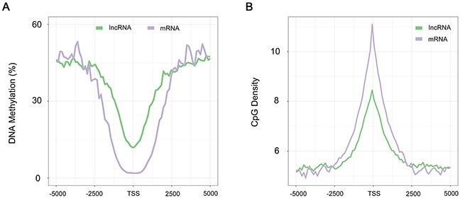 https://cdn.ncbi.nlm.nih.gov/pmc/blobs/c92c/5593605/c629f9083775/oncotarget-08-56829-g002.jpg