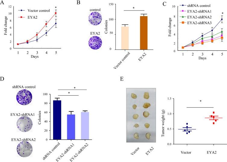 https://cdn.ncbi.nlm.nih.gov/pmc/blobs/c92c/5762288/618b3926657b/oncotarget-08-110837-g002.jpg