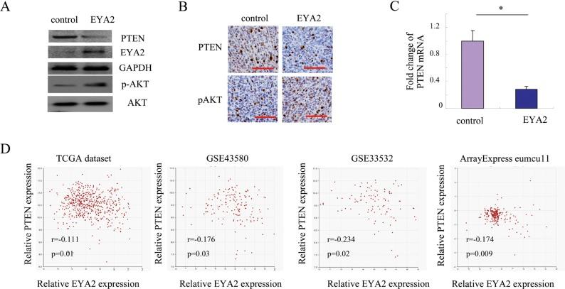 https://cdn.ncbi.nlm.nih.gov/pmc/blobs/c92c/5762288/ab22fff6dffc/oncotarget-08-110837-g003.jpg