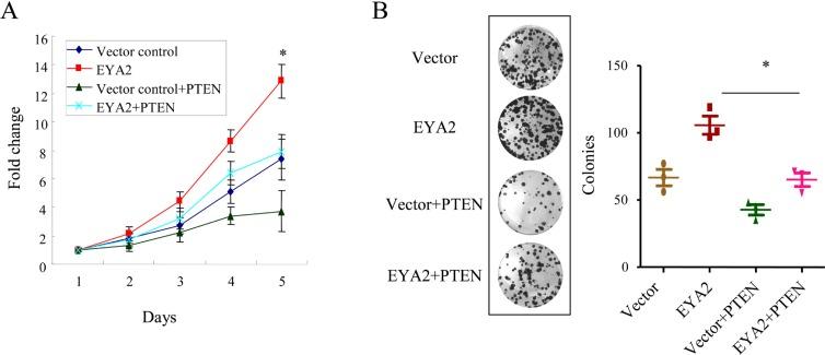 https://cdn.ncbi.nlm.nih.gov/pmc/blobs/c92c/5762288/fd71fe0274b0/oncotarget-08-110837-g004.jpg