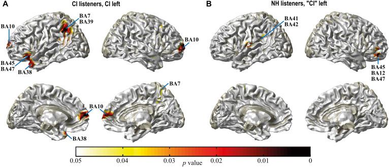 https://cdn.ncbi.nlm.nih.gov/pmc/blobs/c92d/7768047/b255136127fc/fnins-14-586119-g005.jpg