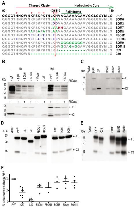 https://cdn.ncbi.nlm.nih.gov/pmc/blobs/c92e/2817006/80fc6817b11b/pone.0009107.g002.jpg