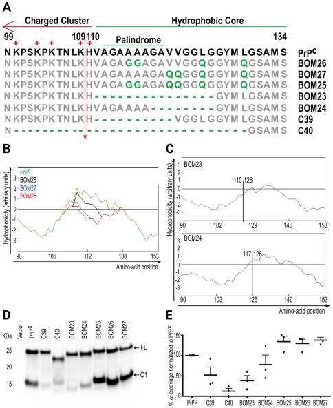 https://cdn.ncbi.nlm.nih.gov/pmc/blobs/c92e/2817006/92de6205d19f/pone.0009107.g003.jpg