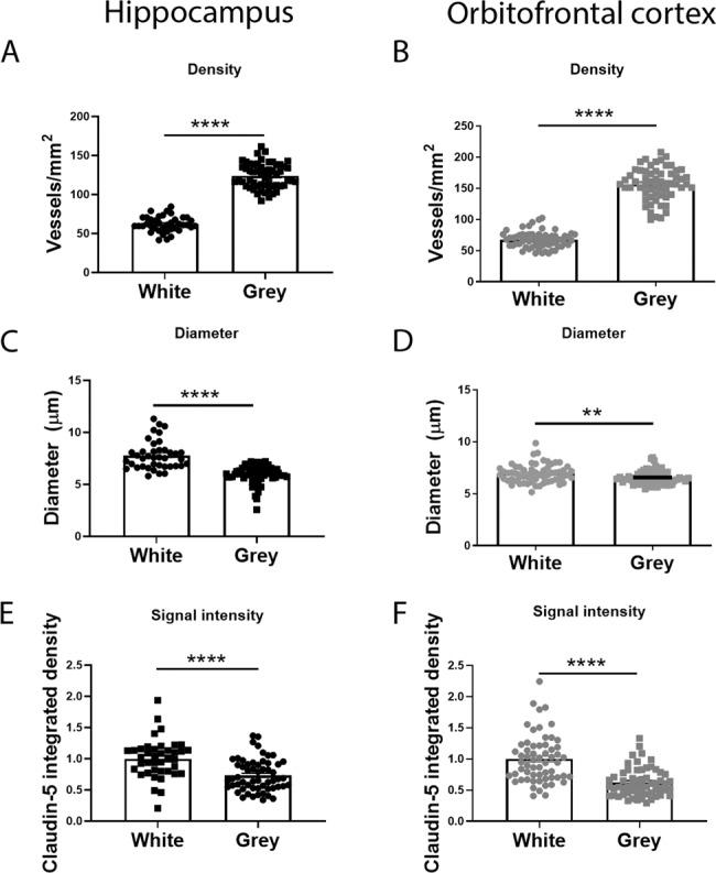 https://cdn.ncbi.nlm.nih.gov/pmc/blobs/c92e/7606459/858e049cc4cf/41398_2020_1054_Fig1_HTML.jpg