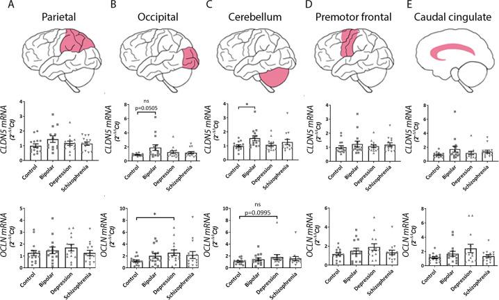 https://cdn.ncbi.nlm.nih.gov/pmc/blobs/c92e/7606459/dd5cc61eb516/41398_2020_1054_Fig6_HTML.jpg