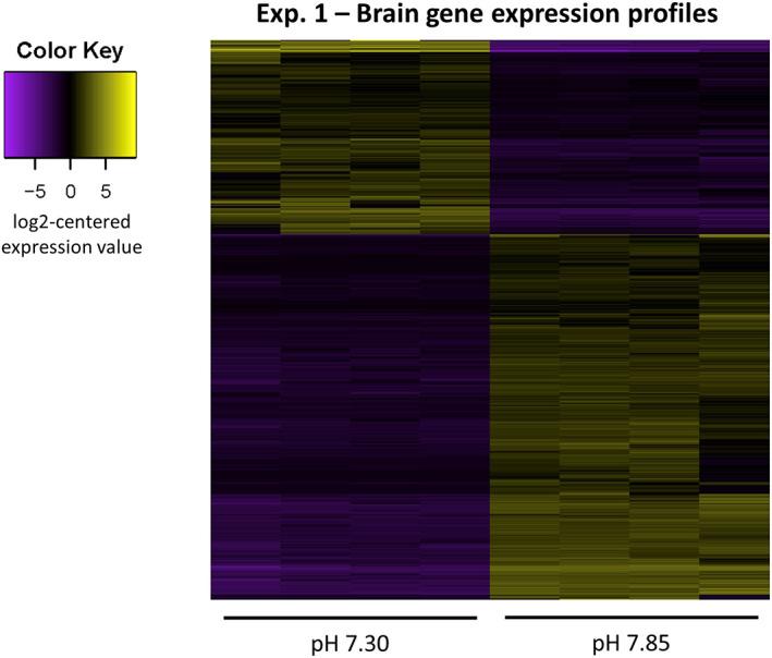 https://cdn.ncbi.nlm.nih.gov/pmc/blobs/c932/9545418/53f33ce1c948/MEC-31-4707-g005.jpg