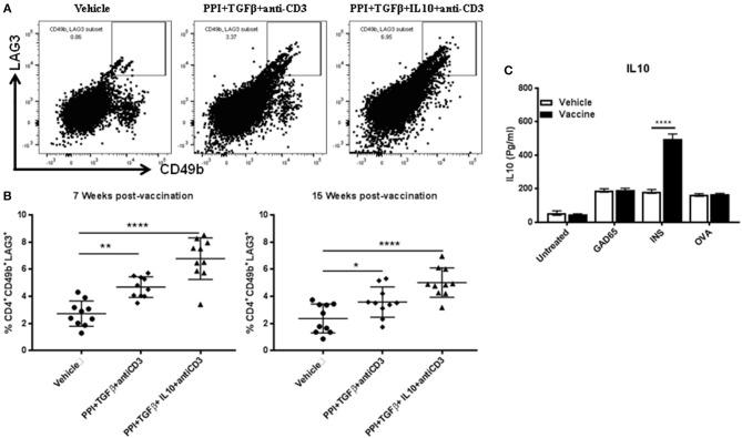 https://cdn.ncbi.nlm.nih.gov/pmc/blobs/c933/6400227/3960d7bebd5c/fimmu-10-00320-g0005.jpg