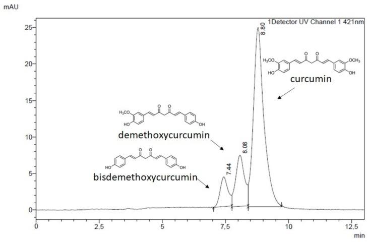 https://cdn.ncbi.nlm.nih.gov/pmc/blobs/c933/8540692/eb0528240f0d/ijms-22-11285-g001.jpg