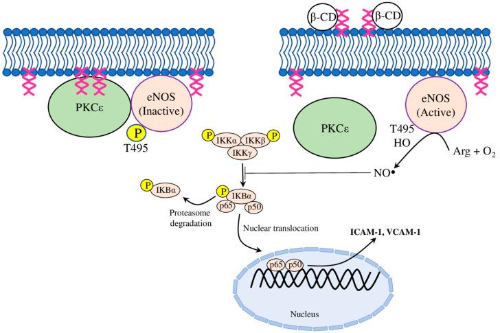 https://cdn.ncbi.nlm.nih.gov/pmc/blobs/c935/10386248/8280c25c4671/molecules-28-05452-g002.jpg