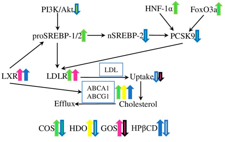 https://cdn.ncbi.nlm.nih.gov/pmc/blobs/c935/10386248/bc686df765d2/molecules-28-05452-g001.jpg