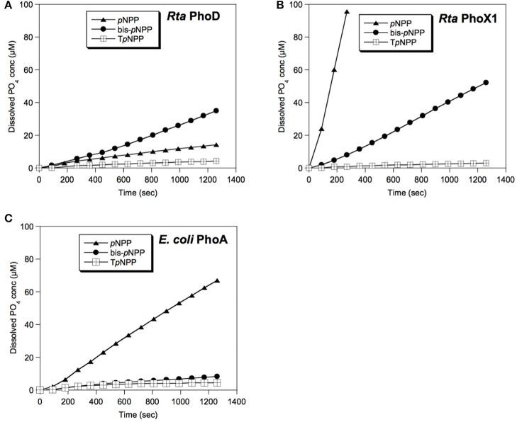 https://cdn.ncbi.nlm.nih.gov/pmc/blobs/c93d/5768637/44119cf8fe4e/fmicb-08-02592-g0006.jpg