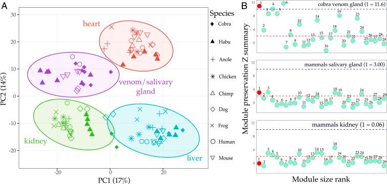 https://cdn.ncbi.nlm.nih.gov/pmc/blobs/c93d/8040605/4676cfc1e715/pnas.2021311118fig02.jpg