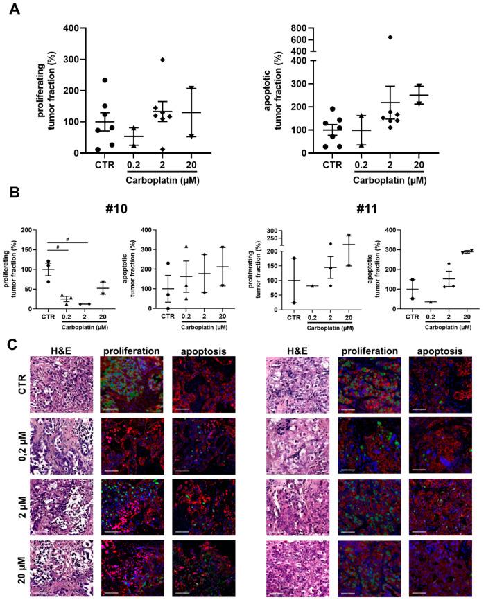 https://cdn.ncbi.nlm.nih.gov/pmc/blobs/c93f/7956612/c5f6c6ab96c6/cancers-13-00956-g002.jpg