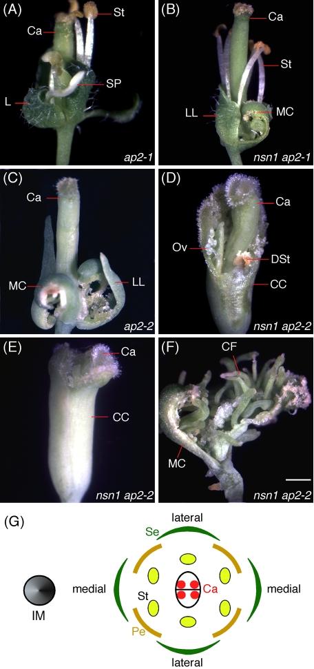 https://cdn.ncbi.nlm.nih.gov/pmc/blobs/c943/3327326/fda517dfa5df/1446fig7.jpg
