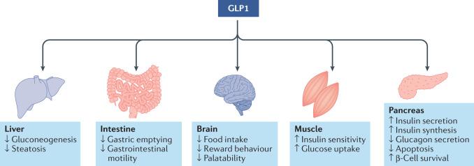 https://cdn.ncbi.nlm.nih.gov/pmc/blobs/c943/8609996/fbb0da187f17/41573_2021_337_Fig4_HTML.jpg
