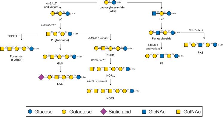 https://cdn.ncbi.nlm.nih.gov/pmc/blobs/c945/9860303/f0efbe0c4615/gr3.jpg