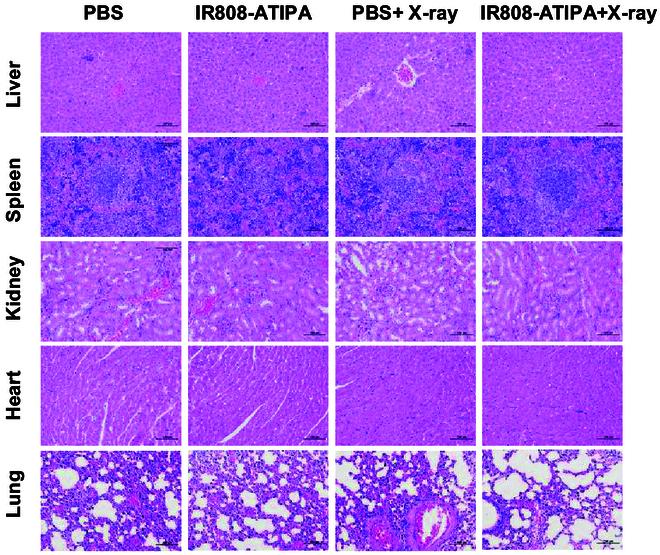 https://cdn.ncbi.nlm.nih.gov/pmc/blobs/c947/12358750/2587329ba912/bmr.0222.fig.007.jpg