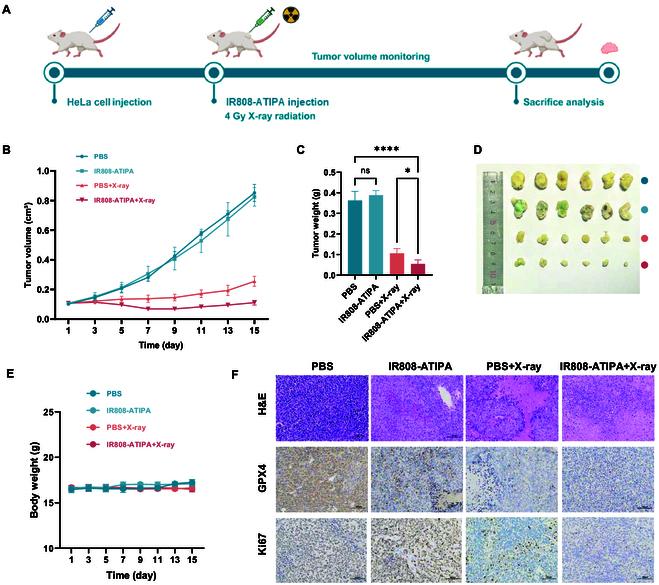 https://cdn.ncbi.nlm.nih.gov/pmc/blobs/c947/12358750/9fd660fdfe96/bmr.0222.fig.006.jpg
