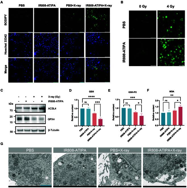 https://cdn.ncbi.nlm.nih.gov/pmc/blobs/c947/12358750/a307ca3fcab5/bmr.0222.fig.004.jpg
