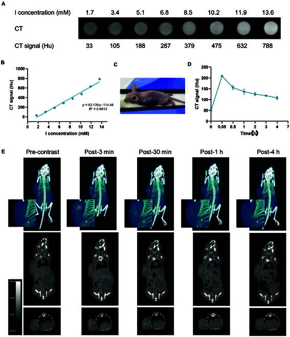 https://cdn.ncbi.nlm.nih.gov/pmc/blobs/c947/12358750/bec6b7669dc7/bmr.0222.fig.005.jpg