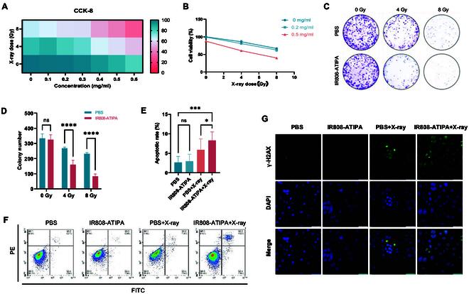 https://cdn.ncbi.nlm.nih.gov/pmc/blobs/c947/12358750/dd61bd422cce/bmr.0222.fig.002.jpg