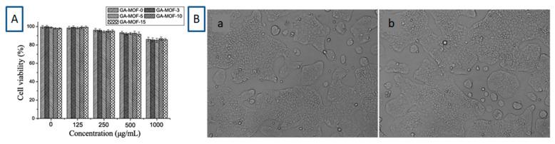 https://cdn.ncbi.nlm.nih.gov/pmc/blobs/c94b/11767455/05a95d92678e/molecules-30-00293-g027.jpg
