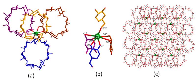 https://cdn.ncbi.nlm.nih.gov/pmc/blobs/c94b/11767455/21dc54e89e95/molecules-30-00293-g007.jpg