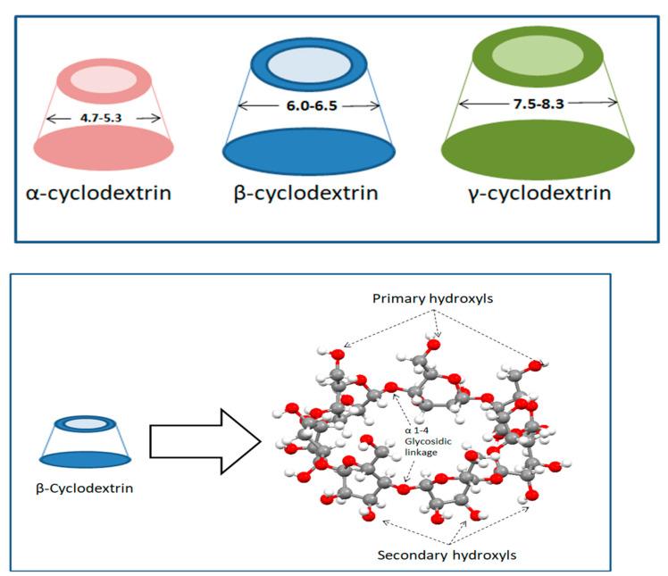 https://cdn.ncbi.nlm.nih.gov/pmc/blobs/c94b/11767455/2943f8a04870/molecules-30-00293-g001.jpg