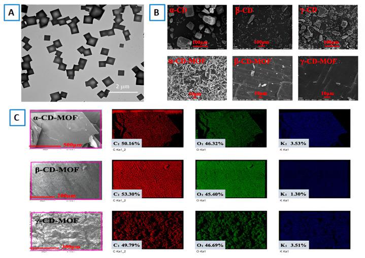 https://cdn.ncbi.nlm.nih.gov/pmc/blobs/c94b/11767455/4a05f4a0fe59/molecules-30-00293-g016.jpg