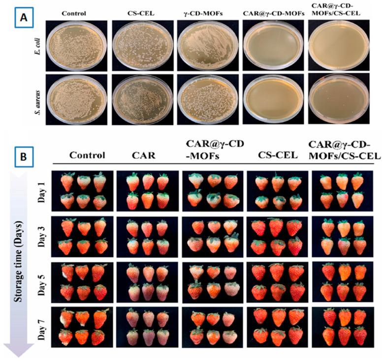 https://cdn.ncbi.nlm.nih.gov/pmc/blobs/c94b/11767455/90fc783ffd7f/molecules-30-00293-g023.jpg