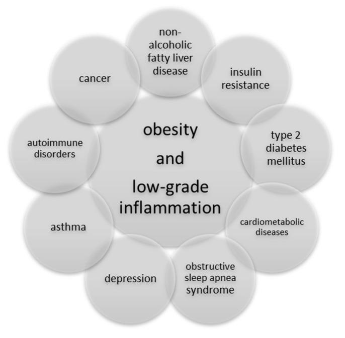 https://cdn.ncbi.nlm.nih.gov/pmc/blobs/c94c/9914259/3a97966c2a0a/ijerph-20-01682-g002.jpg