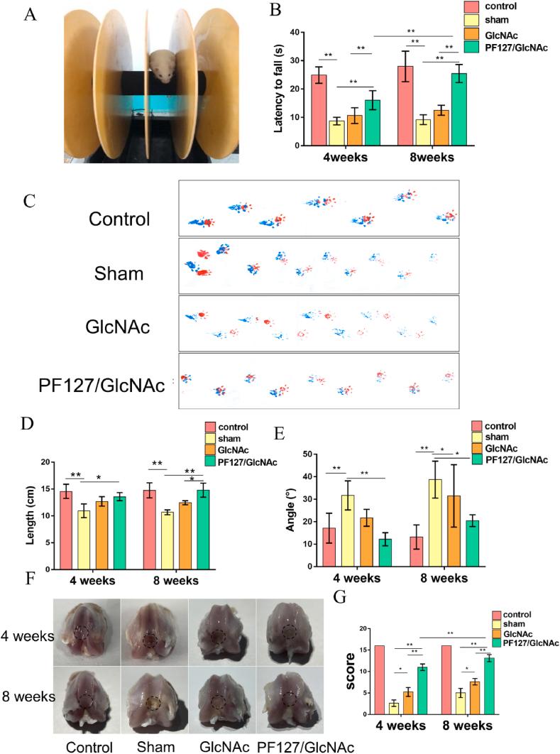 https://cdn.ncbi.nlm.nih.gov/pmc/blobs/c94e/10559277/83981c2e20ca/gr3.jpg