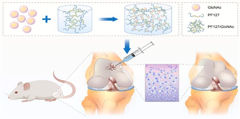 https://cdn.ncbi.nlm.nih.gov/pmc/blobs/c94e/10559277/ccc8432cd520/gr1.jpg