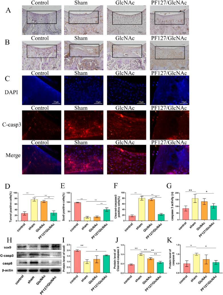 https://cdn.ncbi.nlm.nih.gov/pmc/blobs/c94e/10559277/f4b3ce01ee2d/gr5.jpg