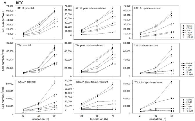 https://cdn.ncbi.nlm.nih.gov/pmc/blobs/c94e/9570347/22890157efd9/ijms-23-10996-g003a.jpg