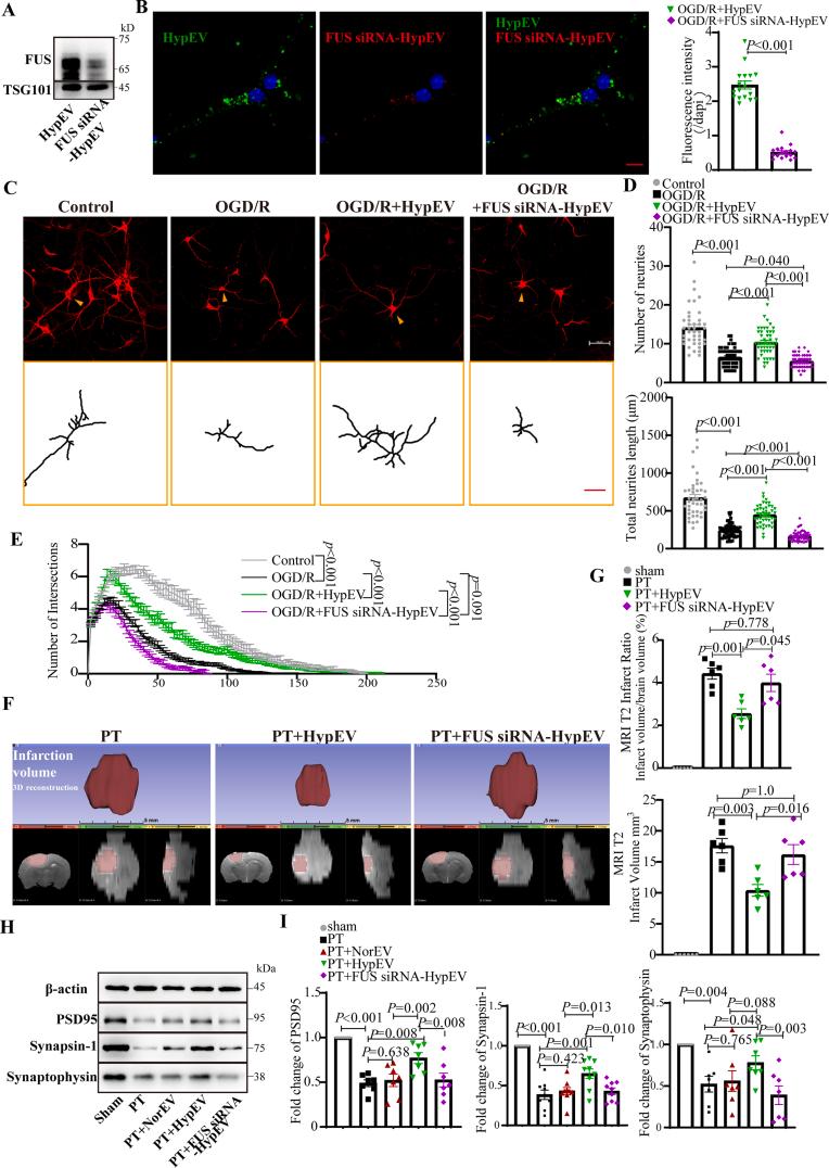 https://cdn.ncbi.nlm.nih.gov/pmc/blobs/c950/10444975/8a6403744eb5/gr6.jpg