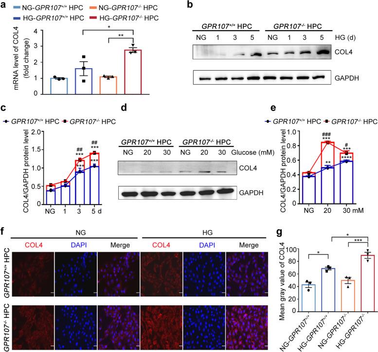 https://cdn.ncbi.nlm.nih.gov/pmc/blobs/c950/11814420/064682dc425b/43556_2025_250_Fig6_HTML.jpg