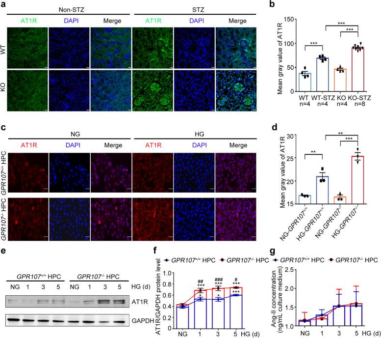 https://cdn.ncbi.nlm.nih.gov/pmc/blobs/c950/11814420/68aa91b73e16/43556_2025_250_Fig4_HTML.jpg