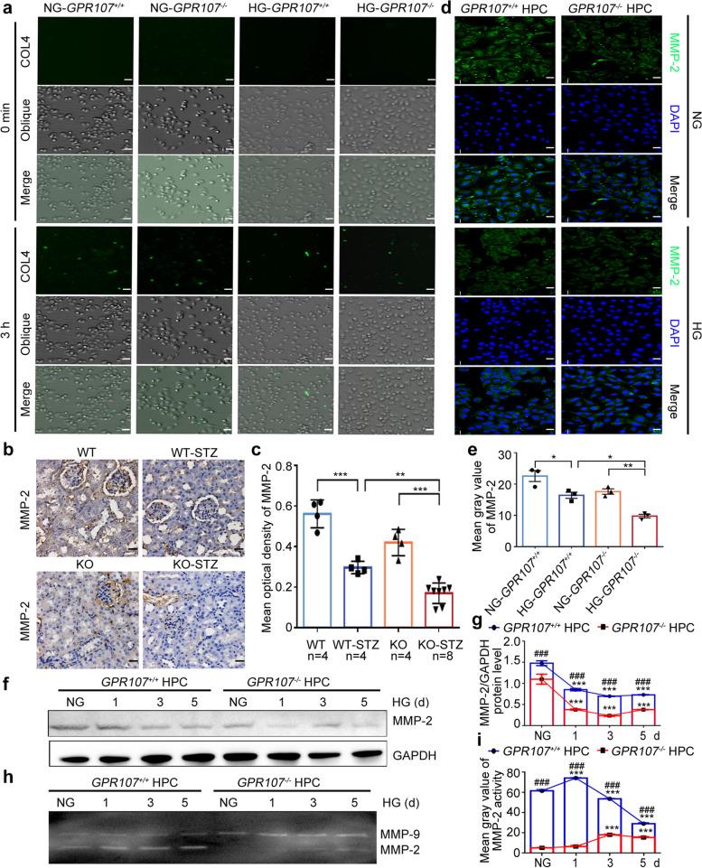 https://cdn.ncbi.nlm.nih.gov/pmc/blobs/c950/11814420/7260ec9e1caf/43556_2025_250_Fig7_HTML.jpg