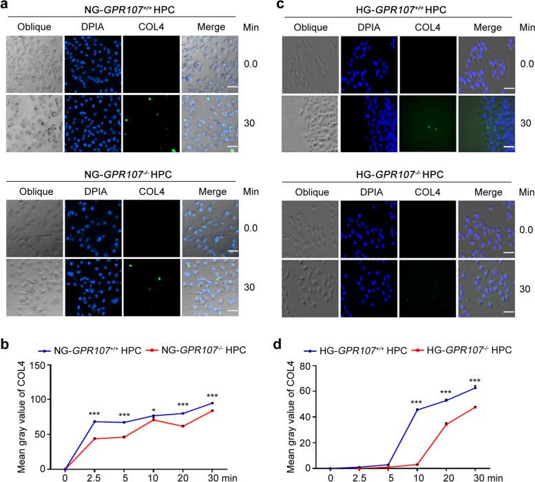 https://cdn.ncbi.nlm.nih.gov/pmc/blobs/c950/11814420/823304099fff/43556_2025_250_Fig2_HTML.jpg