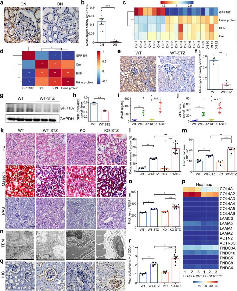 https://cdn.ncbi.nlm.nih.gov/pmc/blobs/c950/11814420/8bea19bc44b7/43556_2025_250_Fig1_HTML.jpg