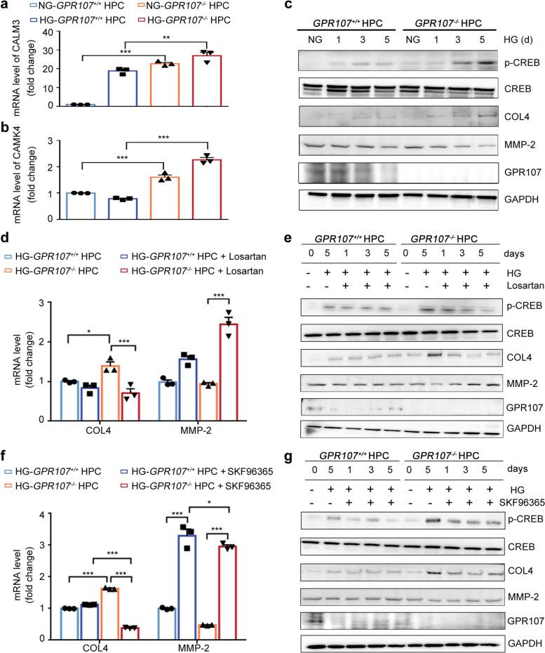 https://cdn.ncbi.nlm.nih.gov/pmc/blobs/c950/11814420/9086d1d7f3b2/43556_2025_250_Fig8_HTML.jpg